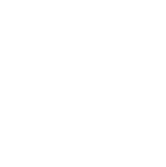 Conclusão